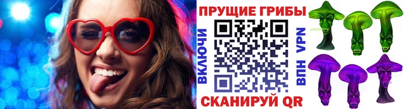 Галлюциногенные грибы Psilocybe  Купино 
